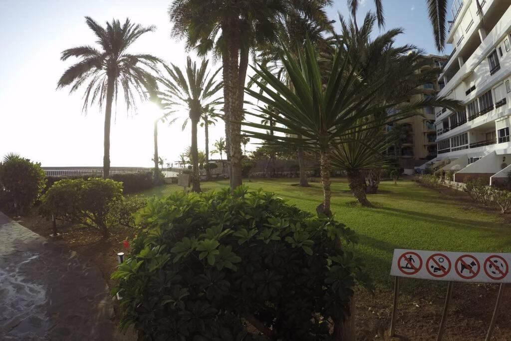 Studio Apartment La Lajilla Located At Beachfront Arguineguin Exterior photo
